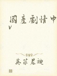 国产剧情中文av