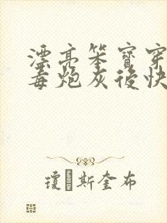 漂亮笨宝穿成恶毒炮灰后快穿txt