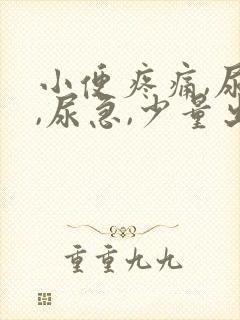 小便疼痛,尿频,尿急,少量出血