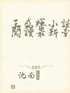 王盛辉小说免费阅读最新章节更新