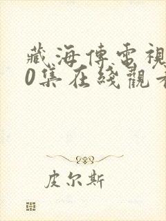 藏海传电视剧40集在线观看