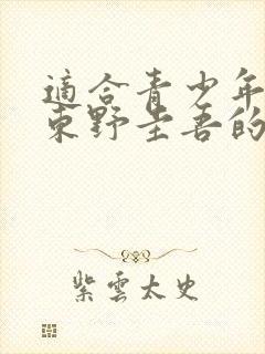 适合青少年看的东野圭吾的书