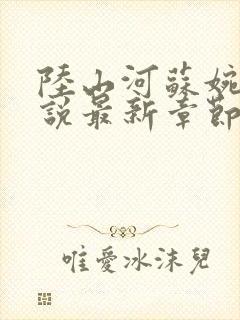 陆山河苏婉晴小说最新章节更新