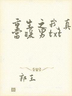 重生之我真没想当暖男txt