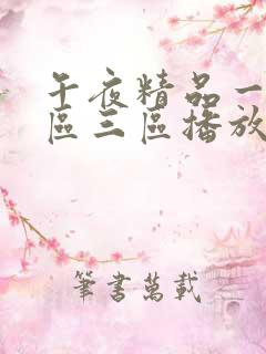 午夜精品一区二区三区播放