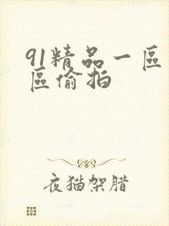 91精品一区二区偷拍