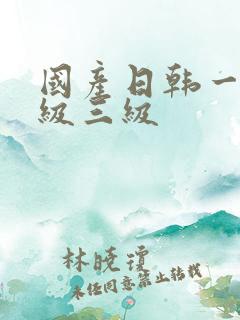 国产日韩一级二级三级