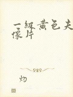 一级黄色夫妻录像片