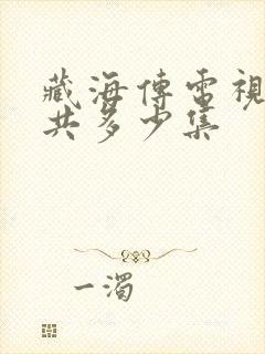 藏海传电视剧一共多少集