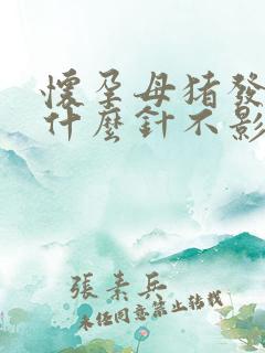 怀孕母猪发烧打什么针不影响胎儿