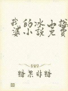 我的冰山总裁老婆小说免费