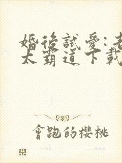 婚后试爱:老公太霸道下载全本txt