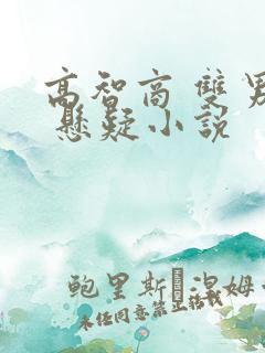 高智商 双男主 悬疑小说