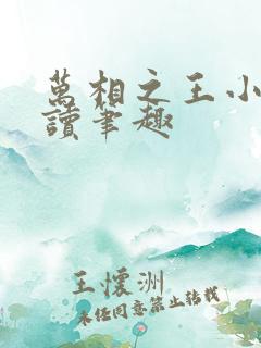 万相之王小说阅读笔趣