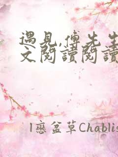 遇见,傅先生全文阅读阅读