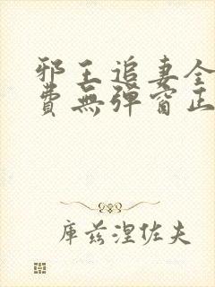 邪王追妻全文免费无弹窗正版