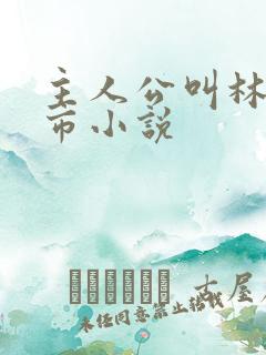 主人公叫林峰都市小说