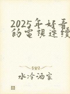 2025年好看的电视连续剧有哪些