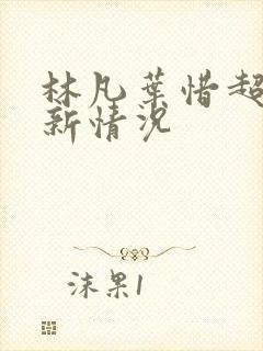 林凡叶惜超级更新情况
