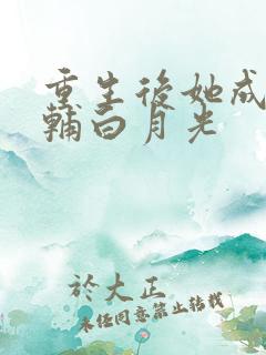 重生后她成了首辅白月光