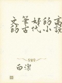 文笔好的高质量的古代小说言情