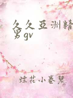 久久亚洲精品男男gv