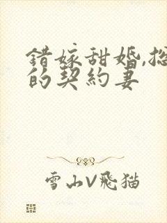 错嫁甜婚,总裁的契约妻