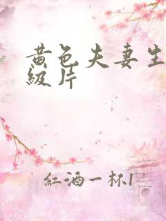 黄色夫妻生活一级片