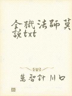 全职法师莫凡小说txt