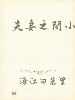 夫妻之间小说网