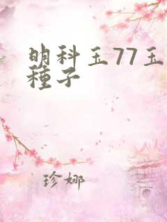 明科玉77玉米种子