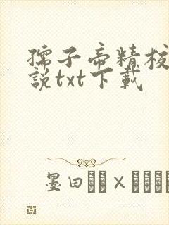 孺子帝精校版小说txt下载