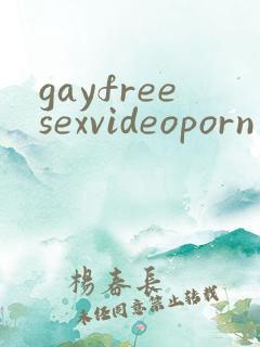 gayfreesexvideoporn