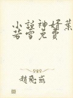 小说神婿叶凡唐若雪免费