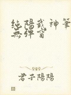 纯阳武神笔趣阁无弹窗