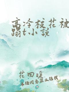 高冷校花被强糟蹋t小说