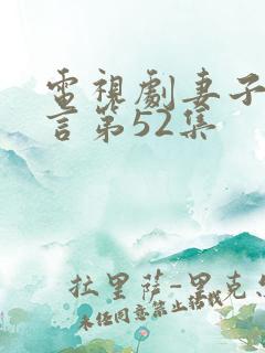 电视剧妻子的谎言第52集