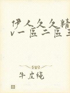 伊人久久精品av一区二区三区