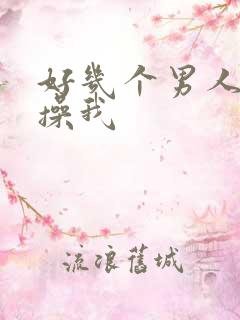 好几个男人一起操我