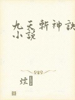 九天斩神诀林辰小说