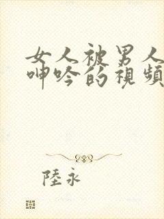 女人被男人爽到呻吟的视频