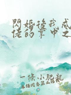 闪婚后我成了大佬的掌中之物电视连续剧