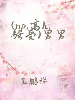 (np,高h,骚受)男男