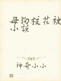 母狗校花被调教小说