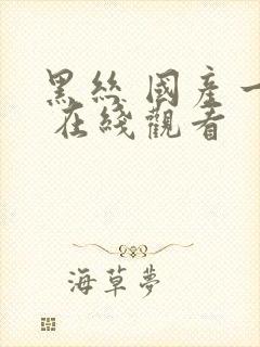 黑丝 国产一区 在线观看