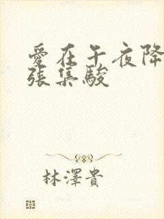 爱在午夜降临前张集骏
