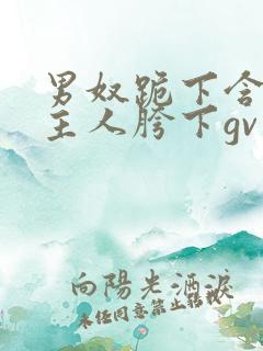 男奴跪下含着男主人胯下gv