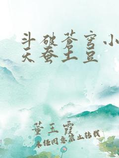 斗破苍穹小说 天蚕土豆