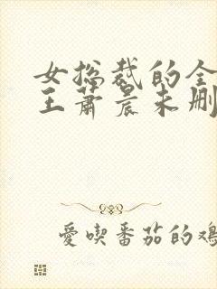 女总裁的全能兵王萧晨未删减版