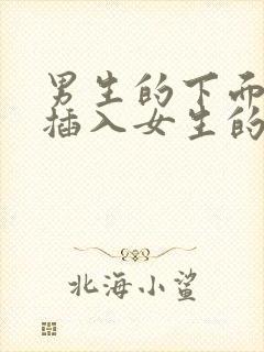 男生的下面怎么插入女生的下面视频